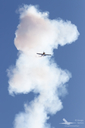 Filename=_MG_7724_280418.jpg
Filesize=285KiB
Dimensions=800x1200
Date added=May 01, 2018 _MG_7724_280418.jpg
