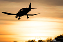 Filename=_MG_9553_231218.jpg
Filesize=386KiB
Dimensions=1200x800
Date added=Jan 03, 2019 _MG_9553_231218.jpg