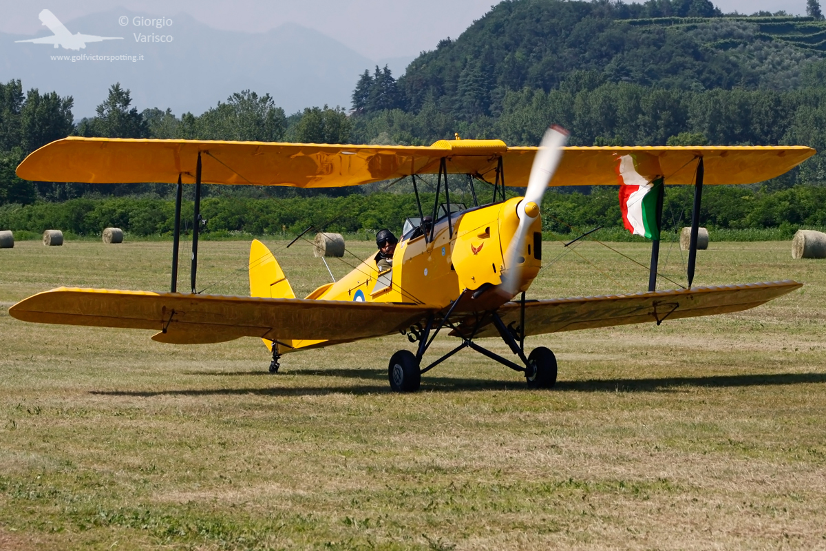_MG_0687_170612.jpg