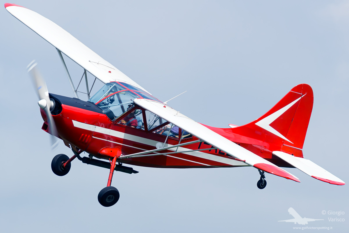 _MG_4437_140517.jpg
