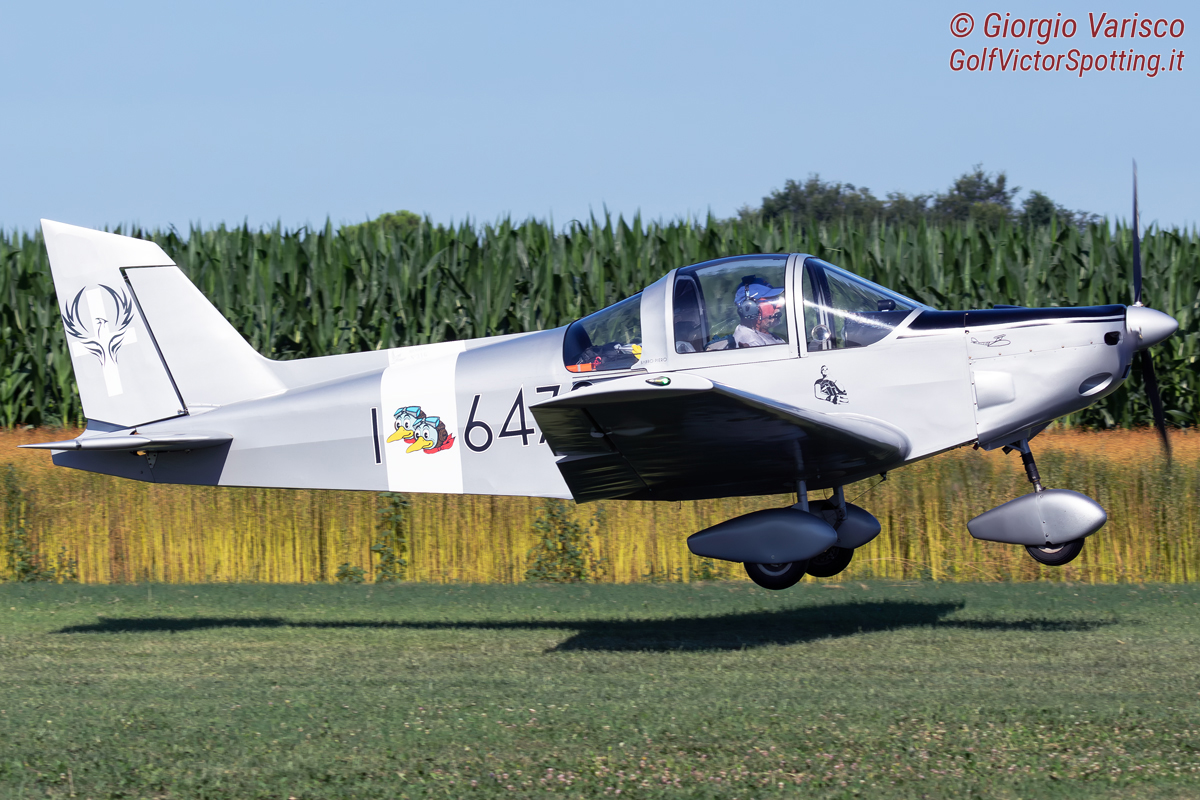 _MG_7537_290625.jpg