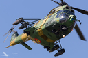 Filename=_MG_2840_240819.jpg
Filesize=525KiB
Dimensions=1200x800
Date added=Sep 14, 2019 _MG_2840_240819.jpg