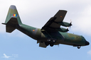 Filename=_MG_2873_240819.jpg
Filesize=354KiB
Dimensions=1200x800
Date added=Sep 14, 2019 _MG_2873_240819.jpg