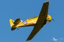 Filename=_MG_6873_250623.jpg
Filesize=360KiB
Dimensions=1200x800
Date added=Jun 27, 2023 _MG_6873_250623.jpg