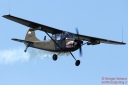 _MG_6981_290625.jpg